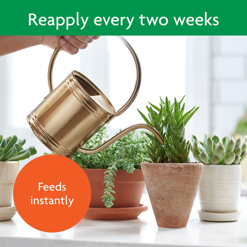 Miracle-Gro&reg; Succulent Plant Food image number null