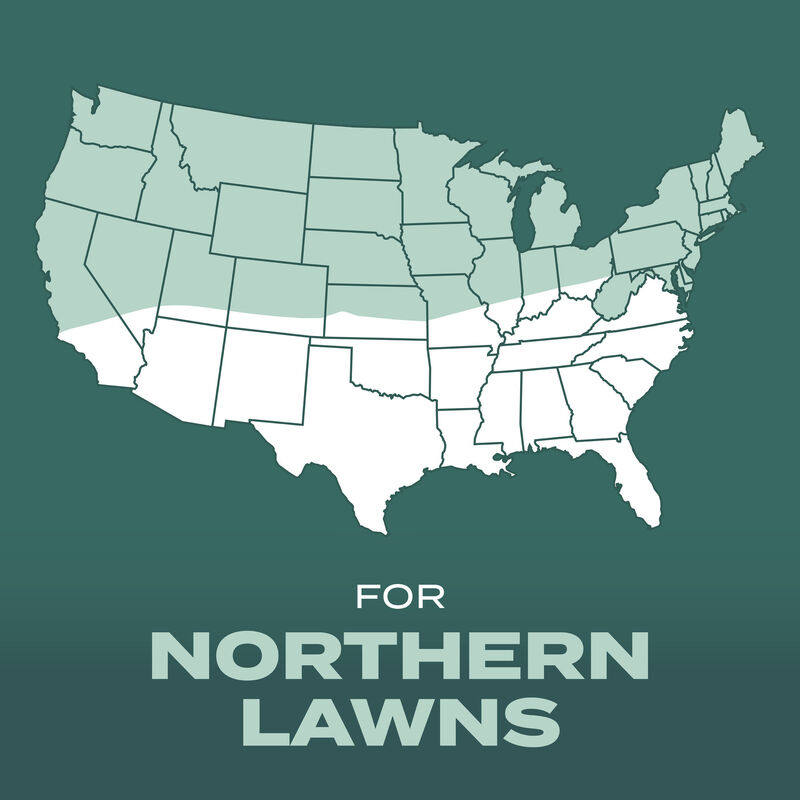 Scotts&reg; Turf Builder&reg; Grass Seed Dense Shade Mix image number null