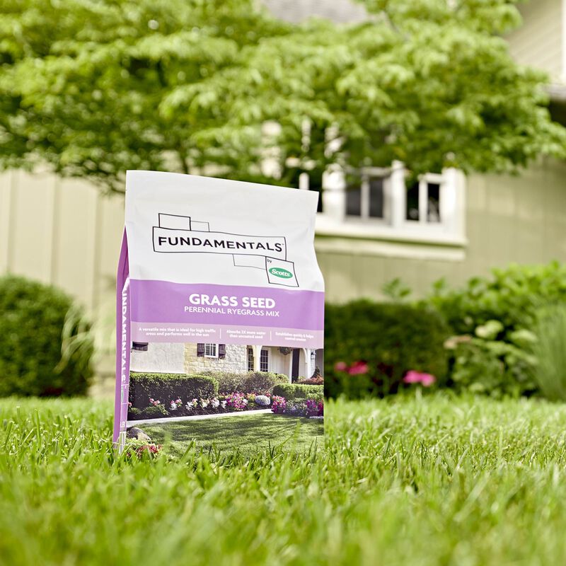 Fundamentals&trade; by Scotts&reg; Grass Seed Perennial Ryegrass Mix image number null