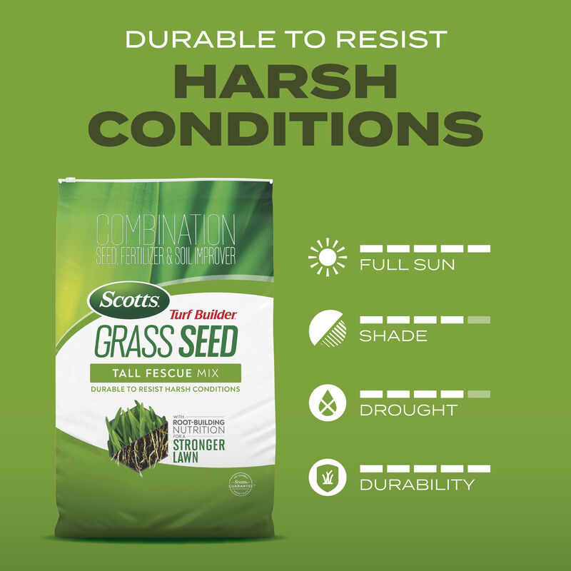 Scotts&reg; Turf Builder&reg; Grass Seed Tall Fescue Mix image number null
