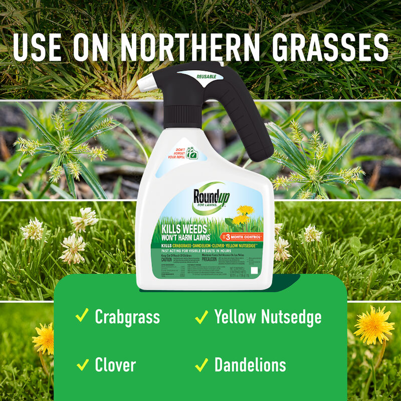 Roundup&reg; For Lawns₁ with QuickHand&trade; Sprayer image number null