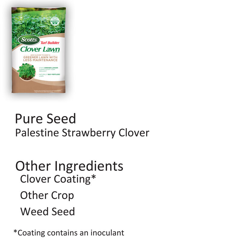 Scotts&reg; Turf Builder&reg; Clover Lawn image number null