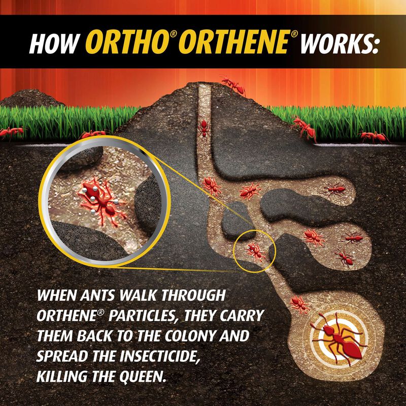 Ortho&reg; Orthene Fire Ant Killer₁ image number null