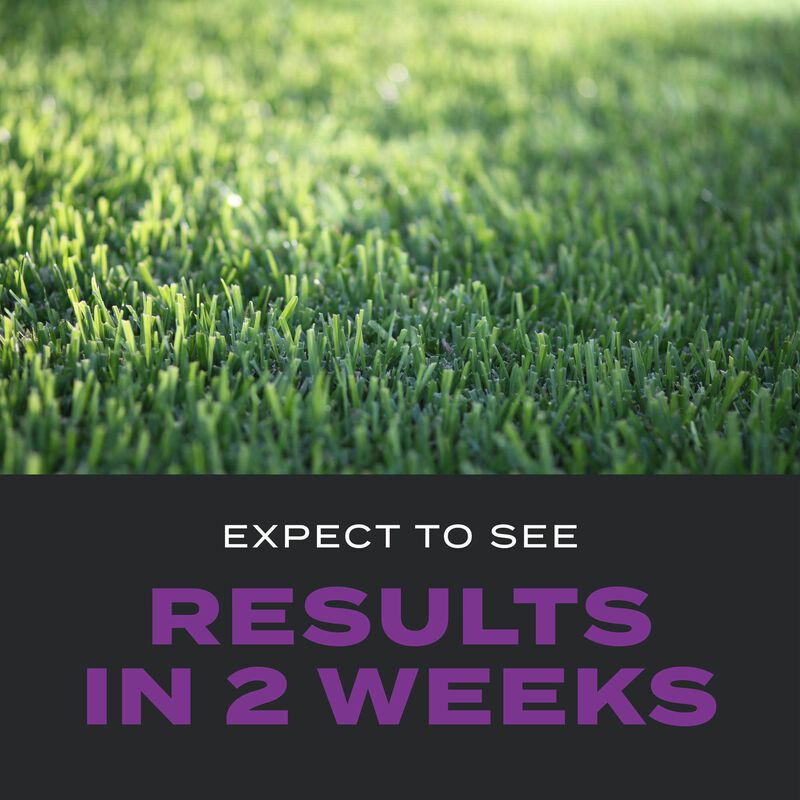 Scotts&reg; Turf Builder&reg; Southern Triple Action image number null